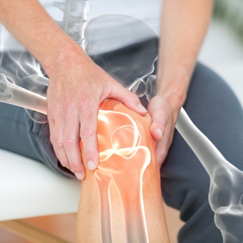 physical-therapy-clinic-knee-pain-relief-Element-Physical-Therapy-Missoula-MT